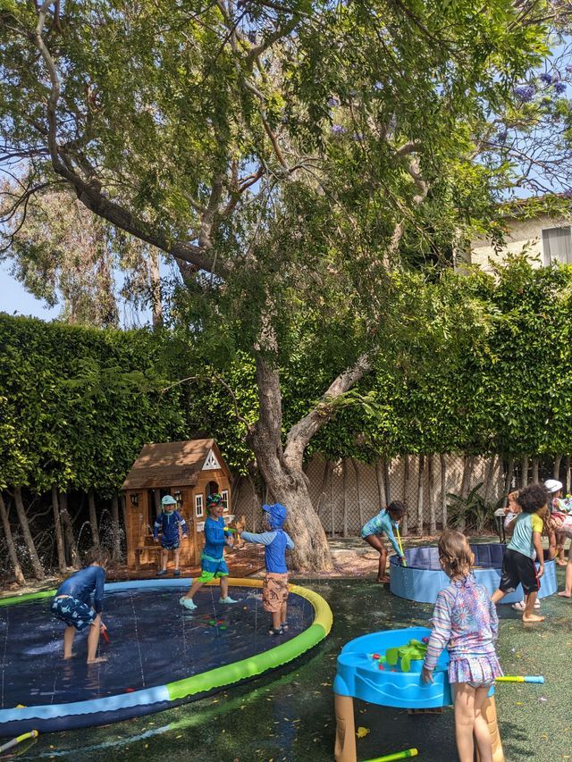 Montessori Summer Camp