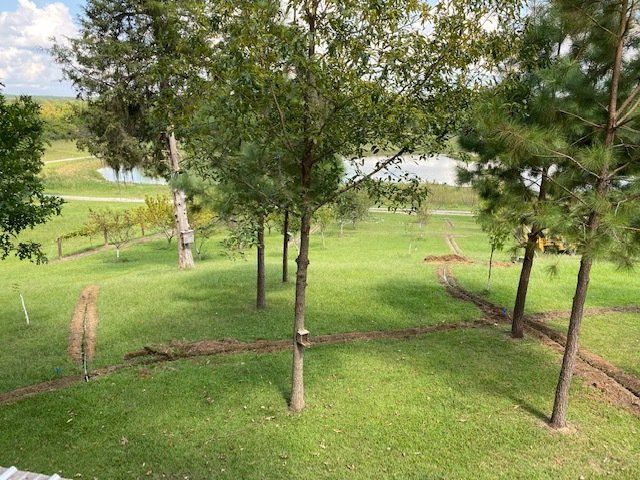 Sprinkler Installation With Pine Trees — Montgomery, AL — Lawns by Scott