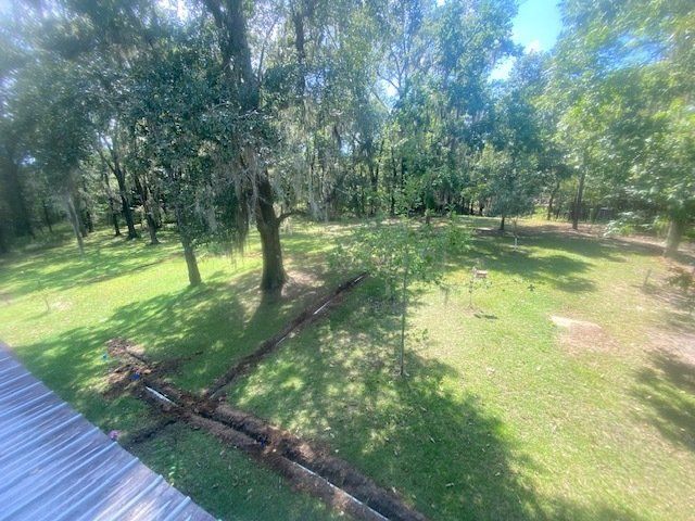 Landscape & Trees Captured From The Roof — Montgomery, AL — Lawns by Scott