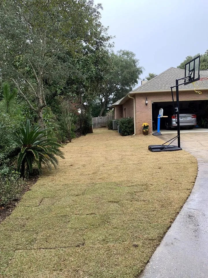 There is a basketball hoop in the backyard of a house.