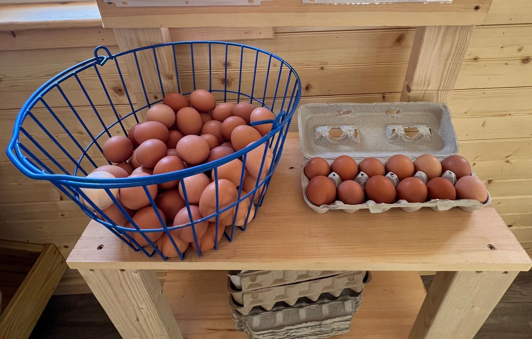 A basket of eggs sits on a wooden table next to a carton of eggs.