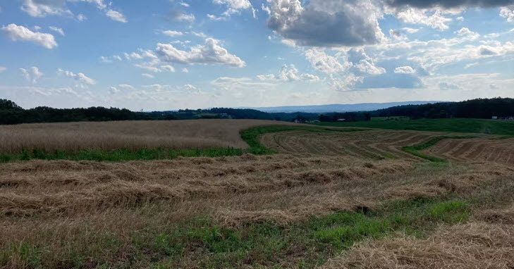 A large field with a blue sky and clouds in the background.