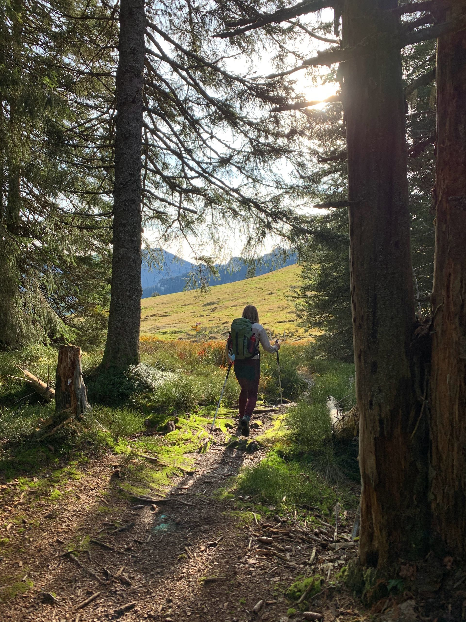 A person with a backpack is walking down a path in the woods.