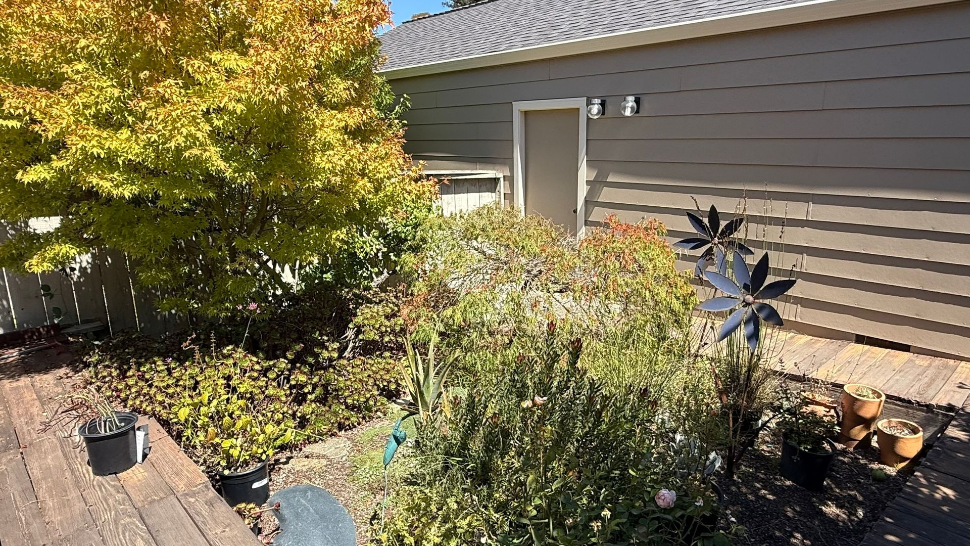 A backyard with a tree, shrubs, wooden deck, and house with a door.