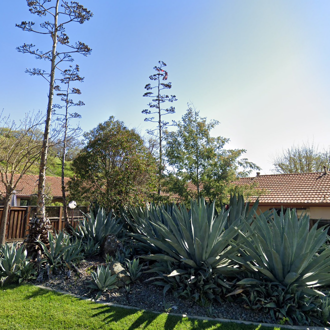 A house with a lot of plants in front of it.