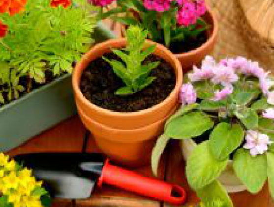 Connecting Communities Project