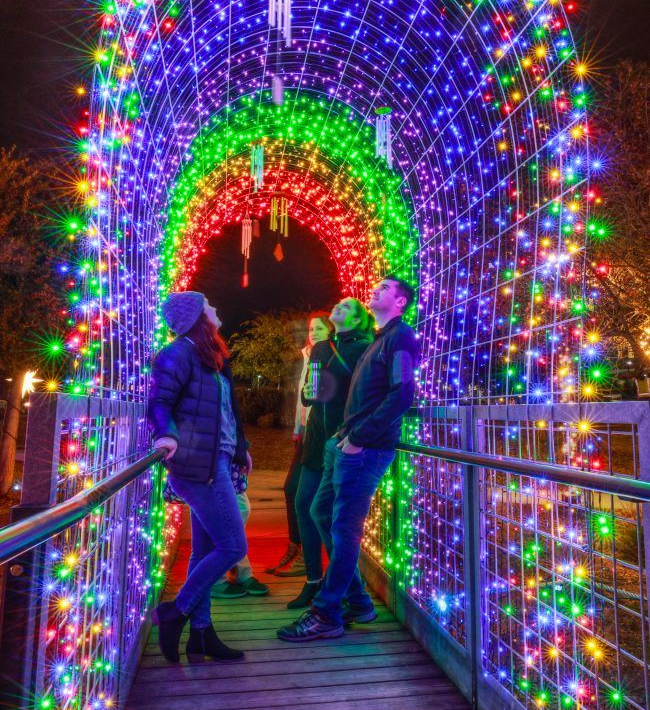 Holiday Light Spectacular