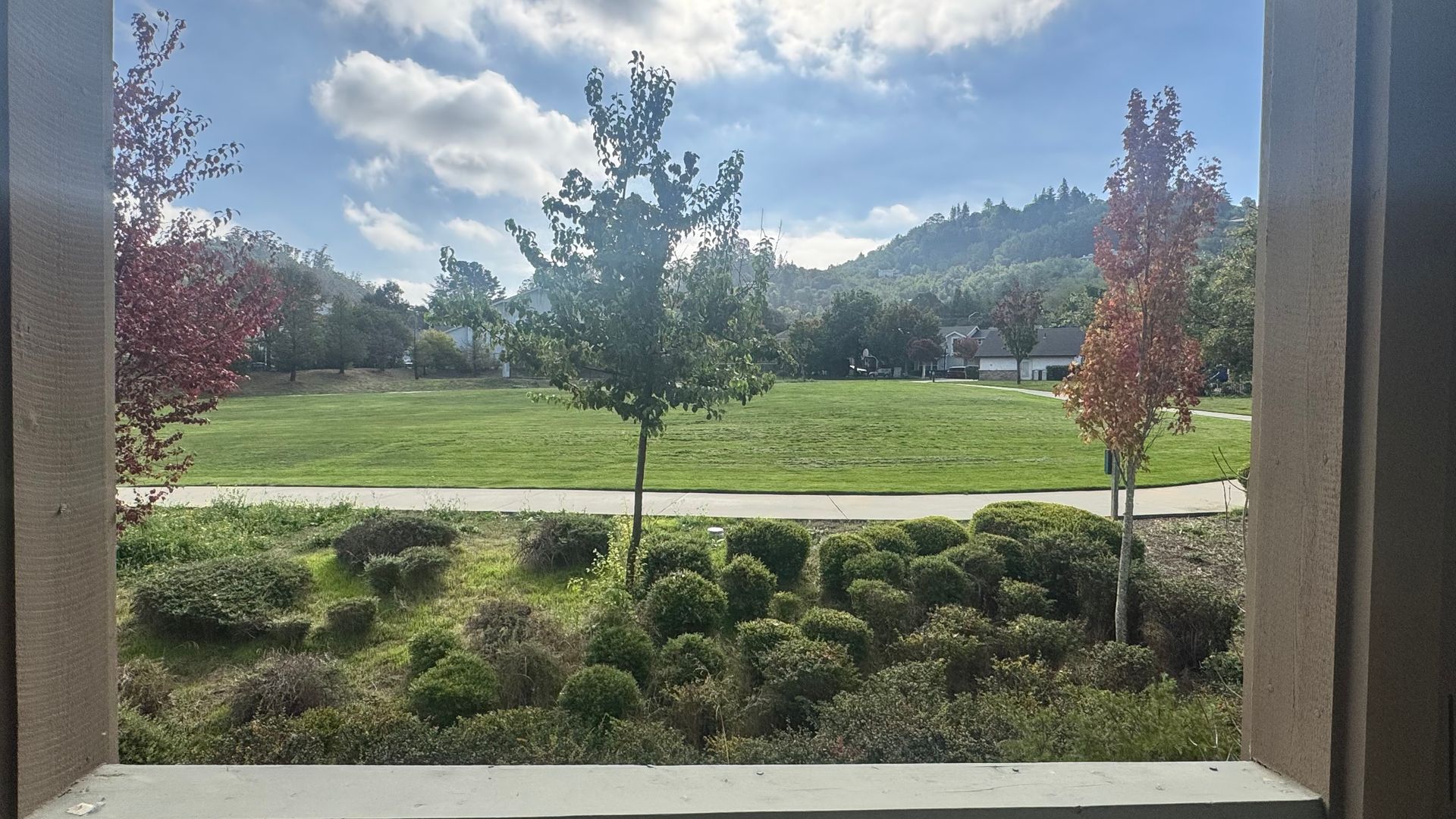 View through a window, showing trees, green field, and a hillside under a sunny sky.