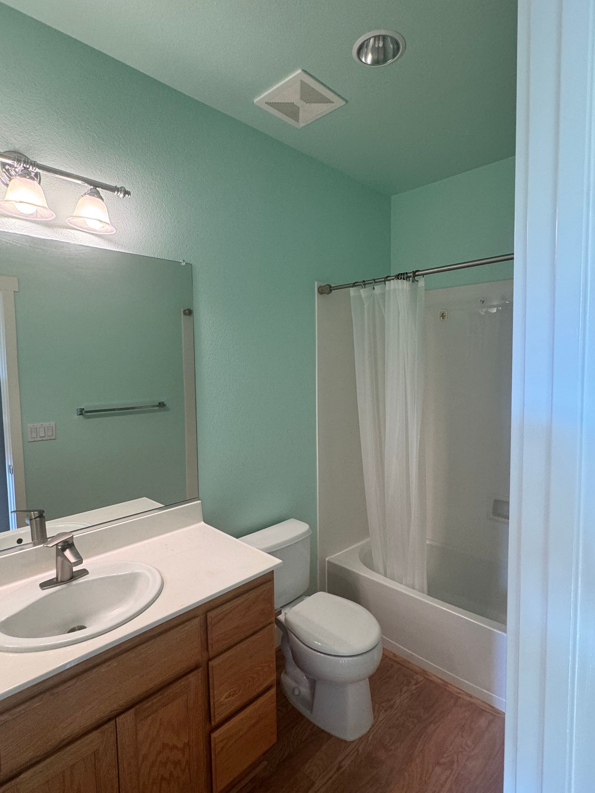 Bathroom with mint green walls, a white vanity, toilet, and bathtub with a white shower curtain.