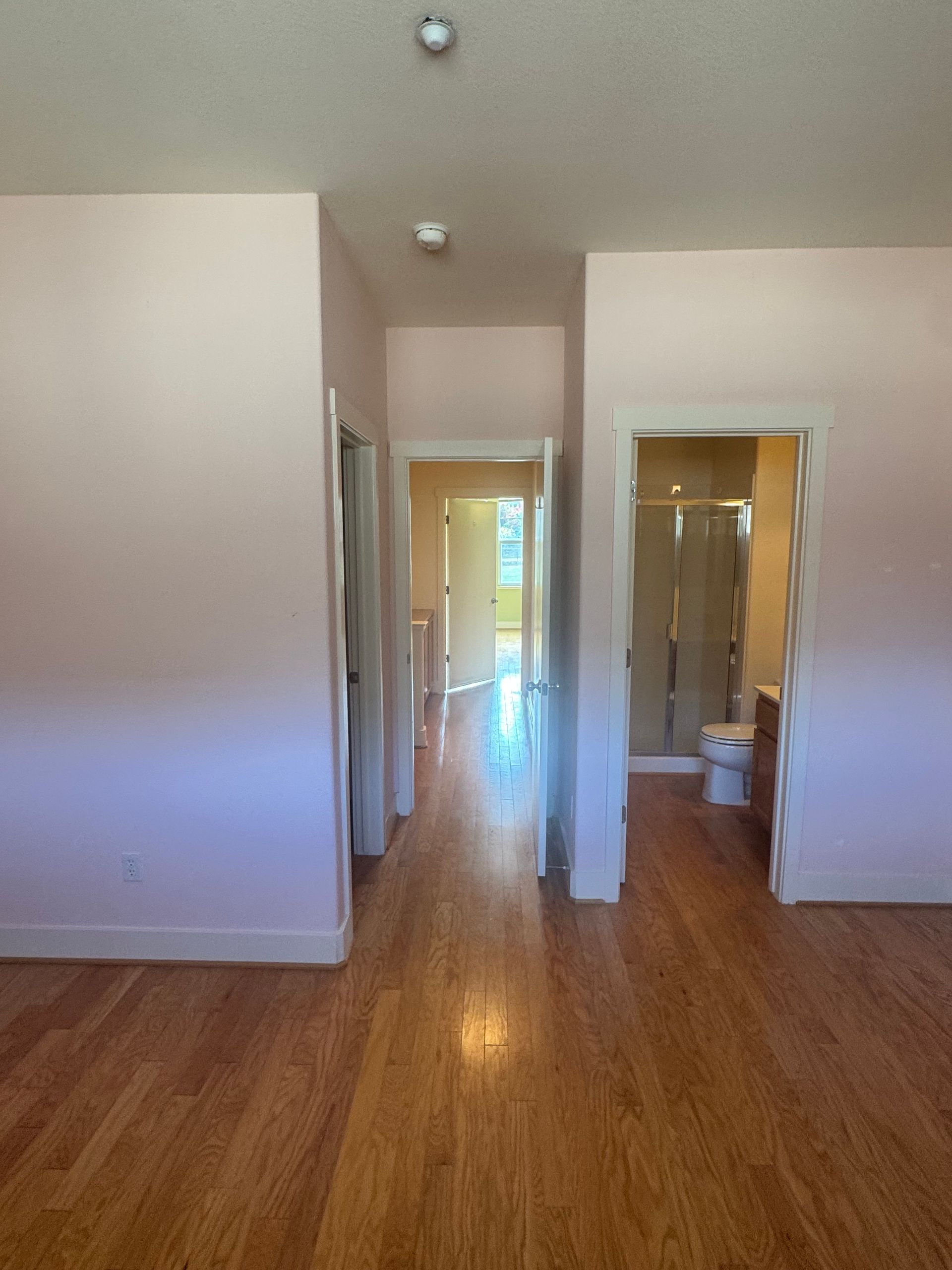 Hallway with pink walls, wood floor, and doorways to other rooms.