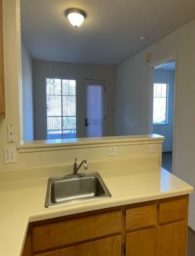 A kitchen counter with a sink and cabinets in a house.
