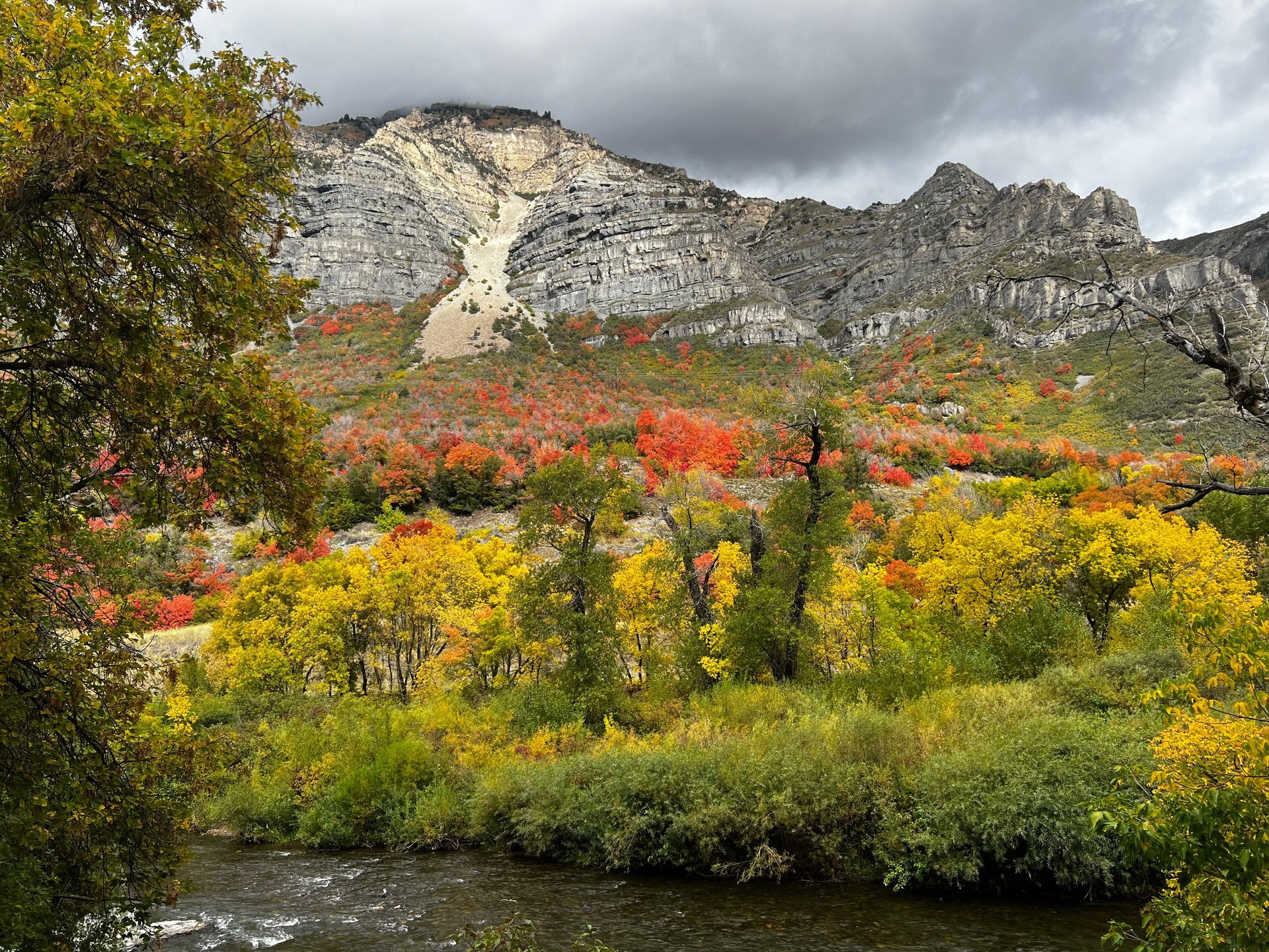 Mountainside with vibrant fall foliage and river under a cloudy sky.