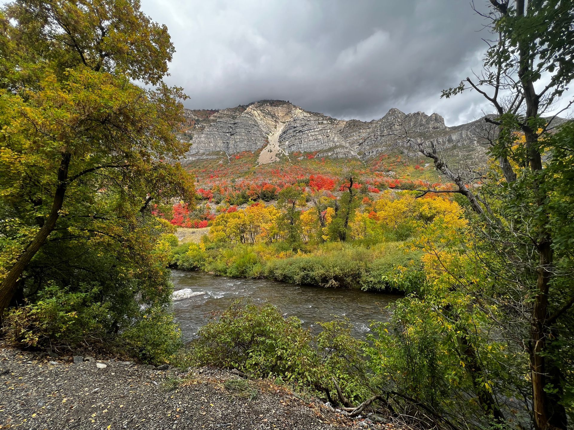 Autumn mountain landscape with colorful trees, a river, and overcast sky.