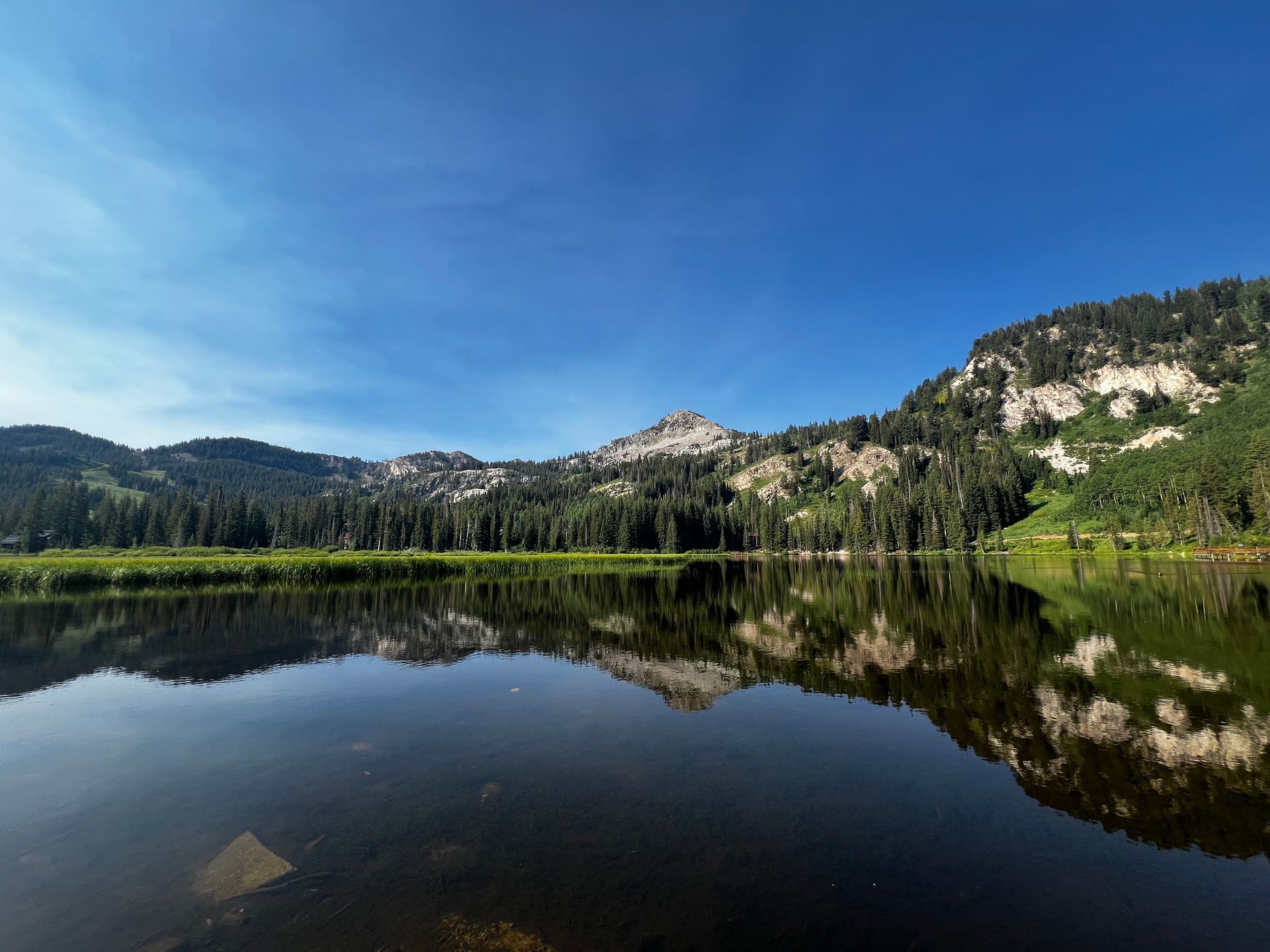 Tranquil lake reflects forested mountains under a bright blue sky.
