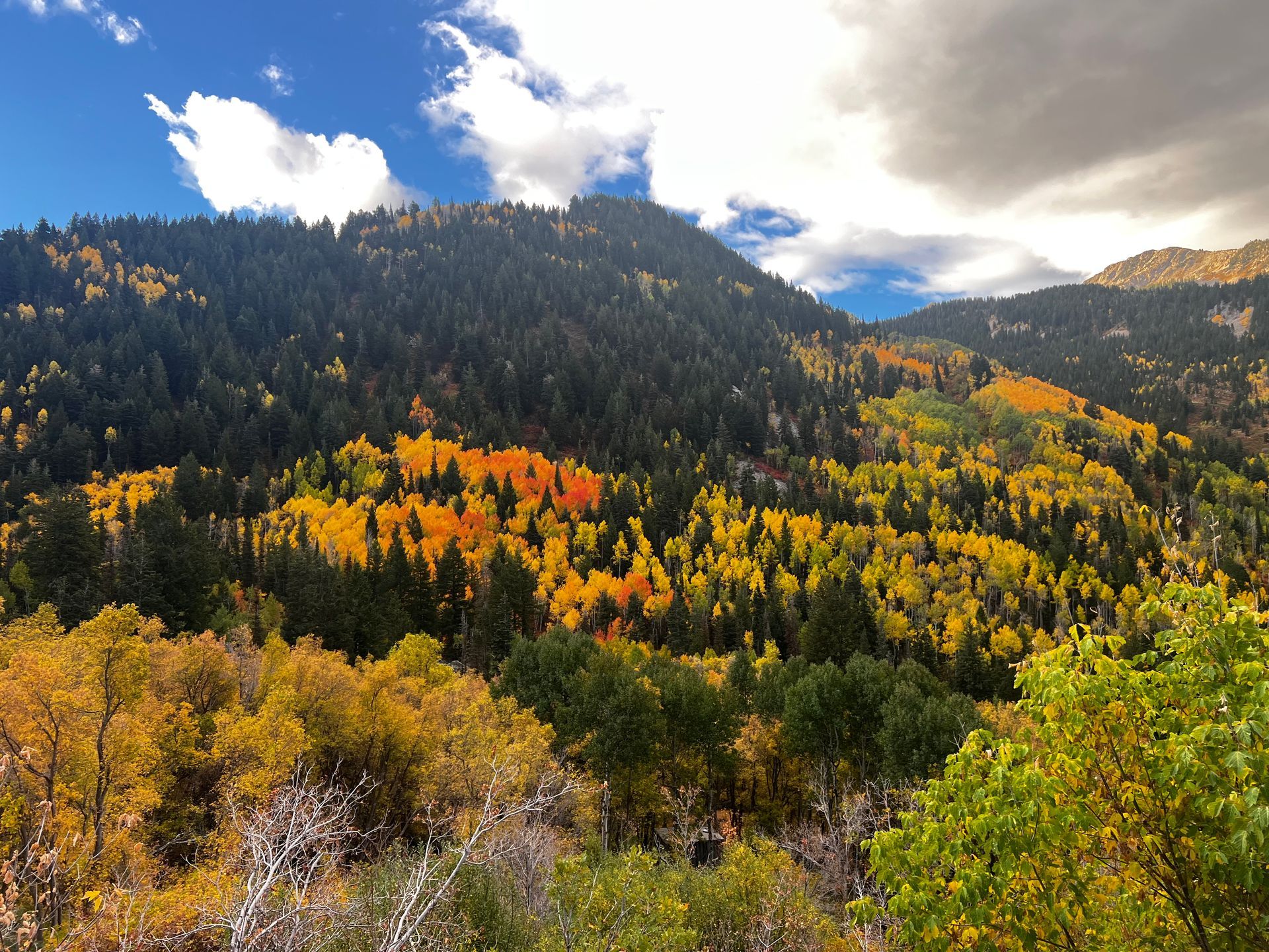 Mountain landscape with vibrant yellow, orange, and green autumn foliage against a cloudy blue sky.