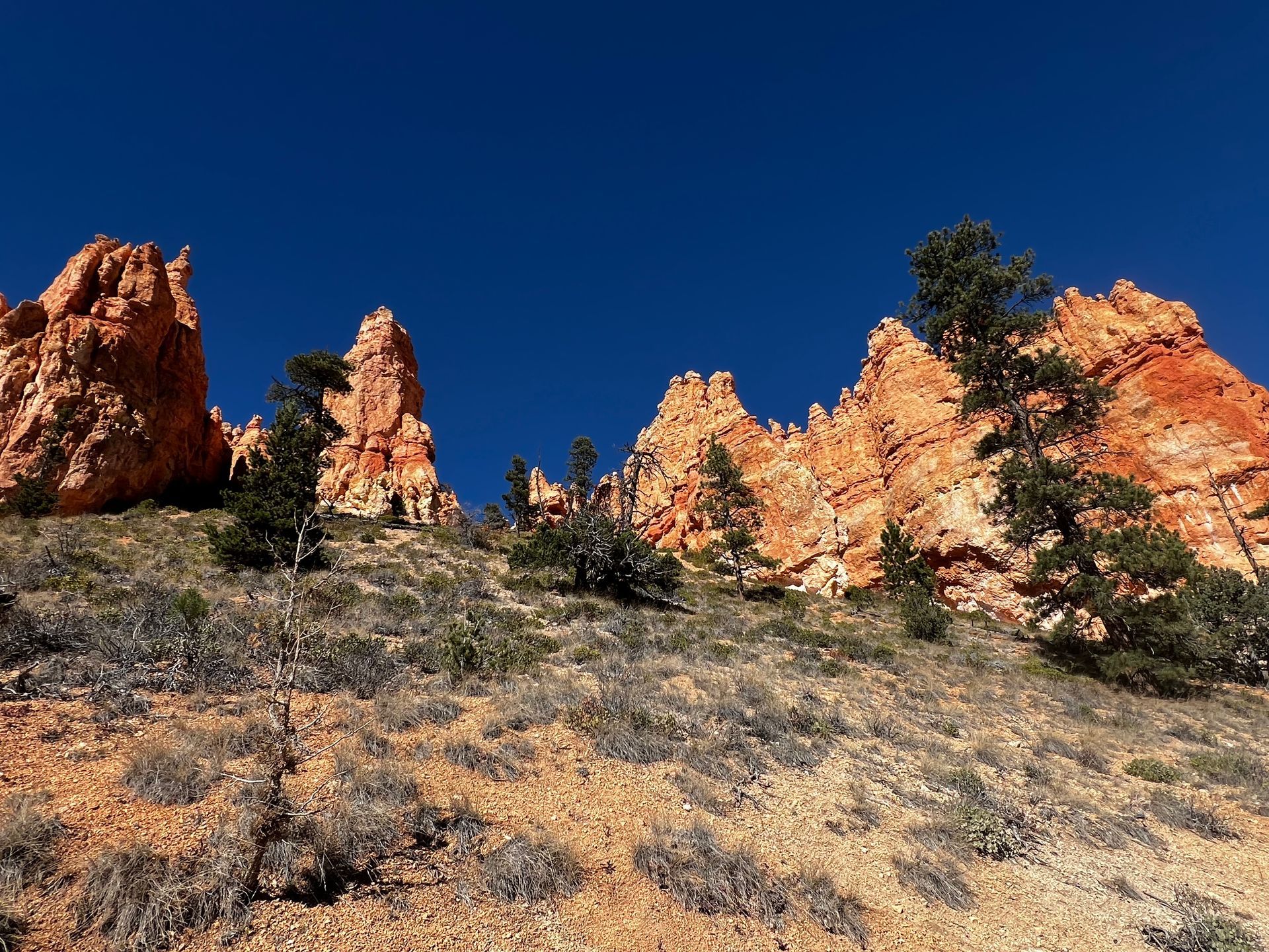 Red rock formations with small trees and sparse vegetation against a deep blue sky.