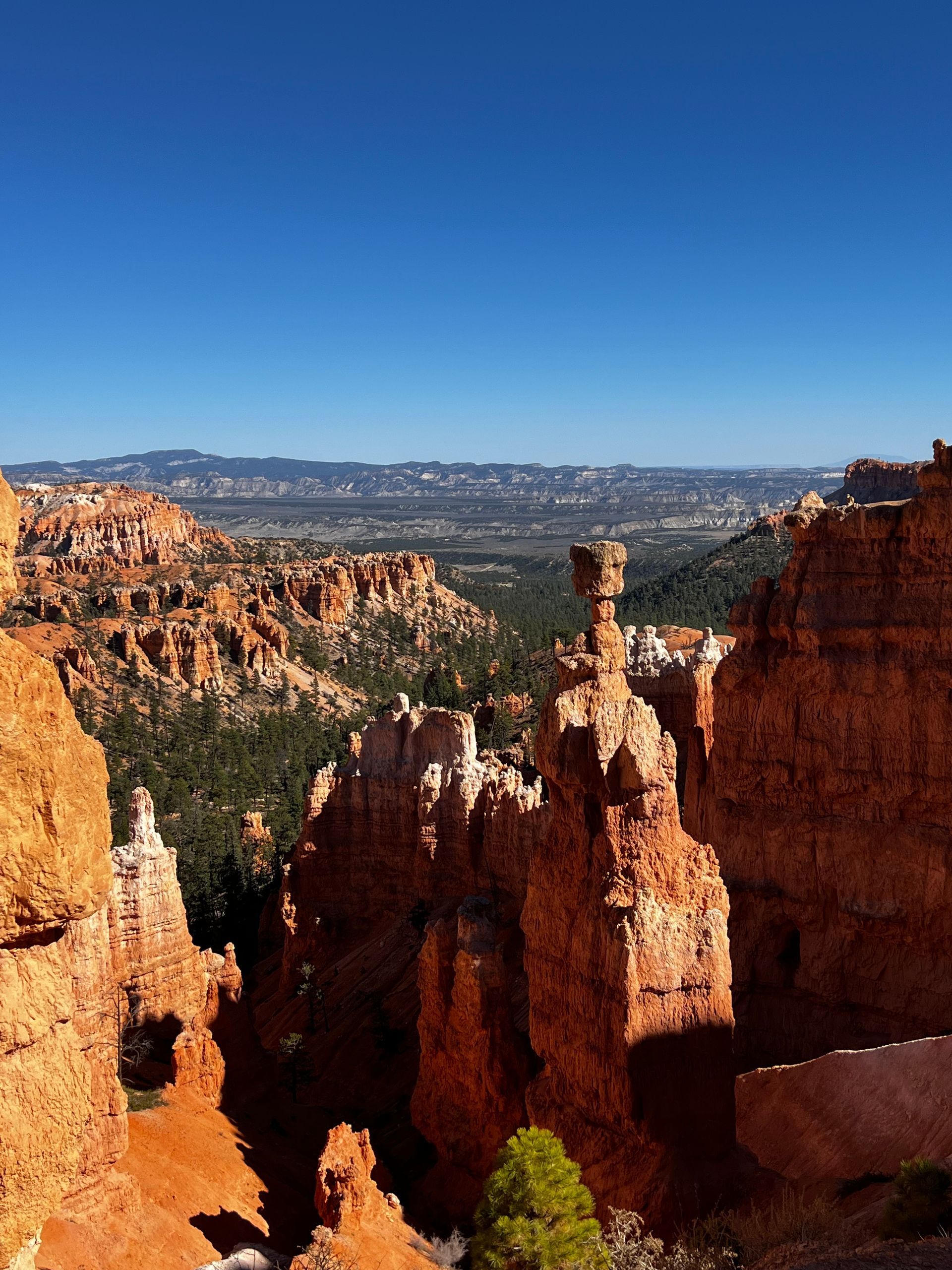 Red rock formations under a clear blue sky, with distant mountains and a small town visible.