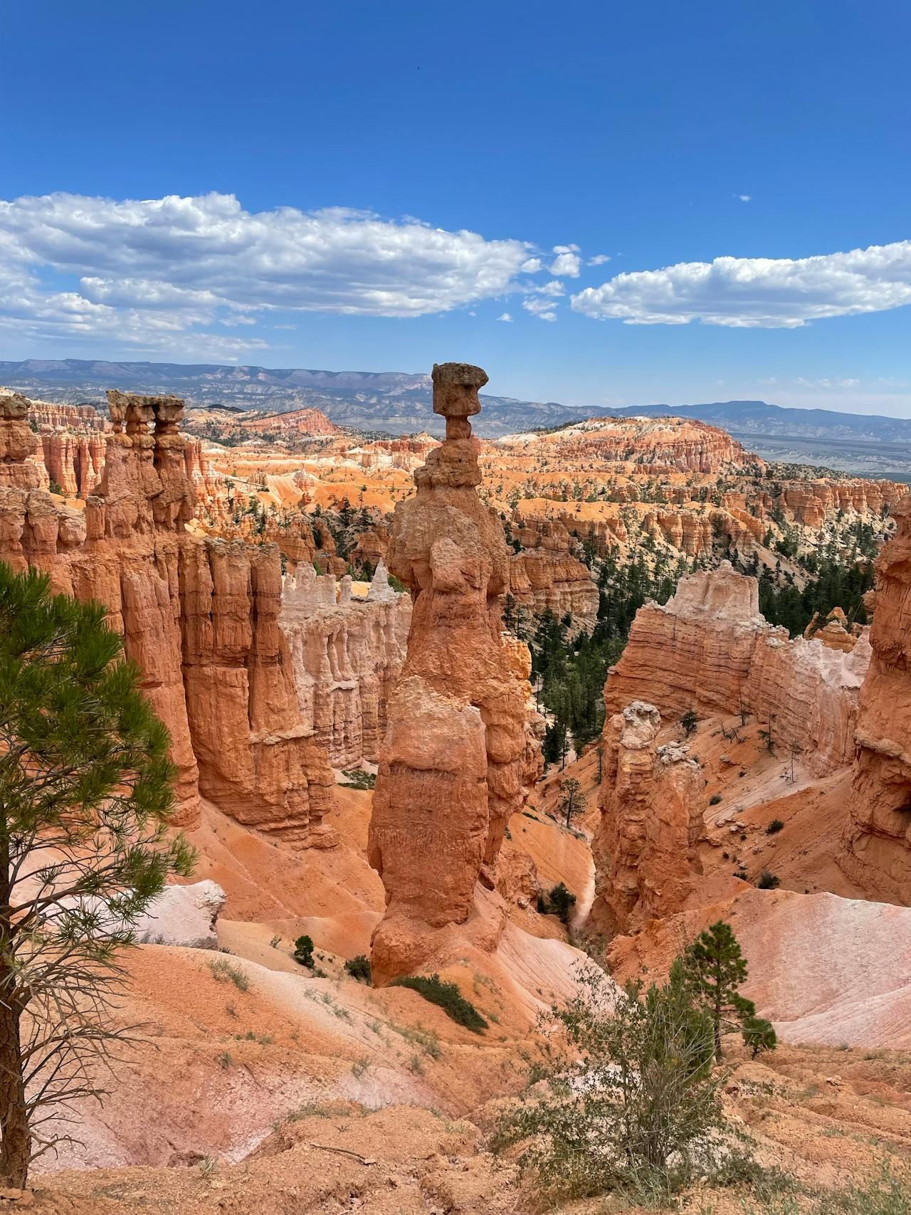 Hoodoos in Bryce Canyon National Park under a blue sky, with some green vegetation.