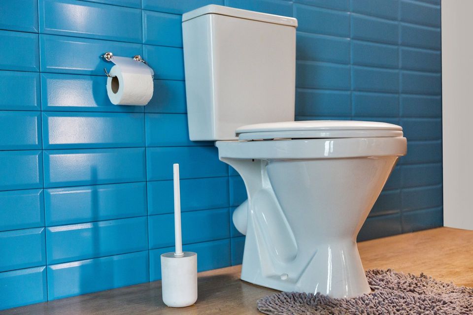 3 Signs You Need Toilet Repair