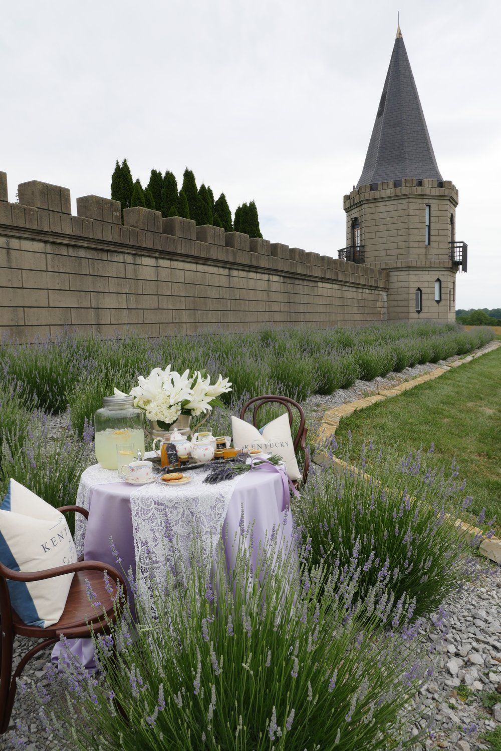 Table set for tea in a lavender field beside a castle wall.