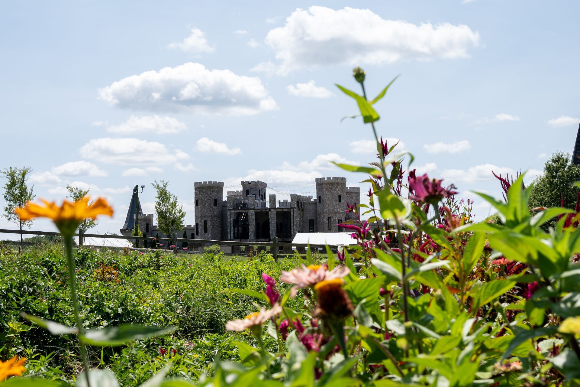 Castle with flowers in the foreground, blue sky with clouds in the background.