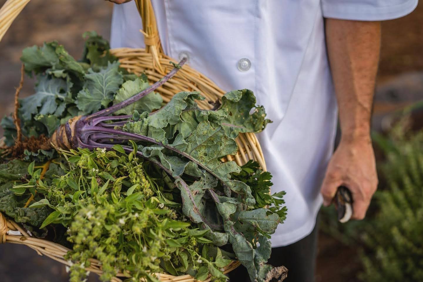 Chef holding a woven basket of fresh kale and herbs, wearing a white coat.