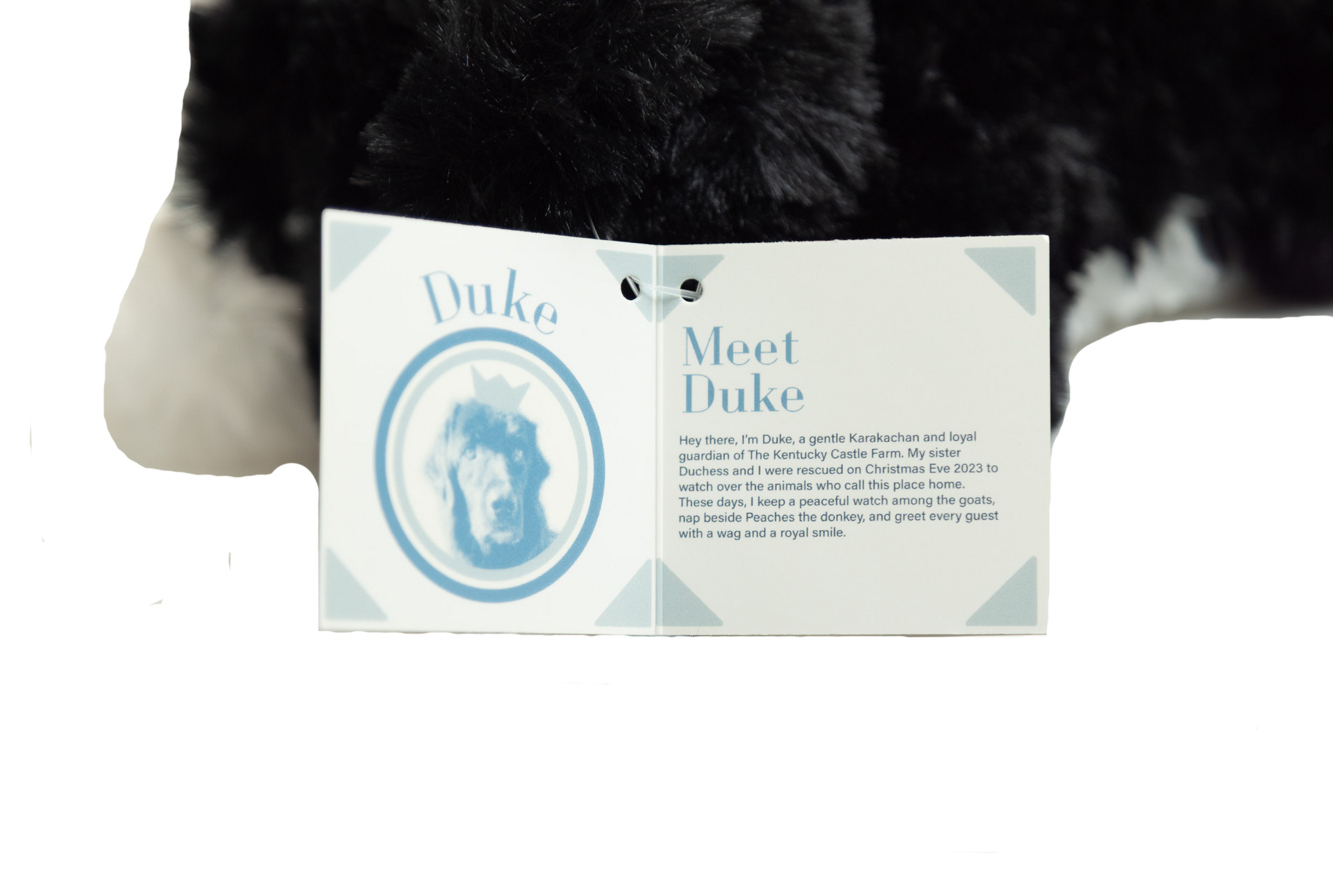 Duke - Plush Toy
