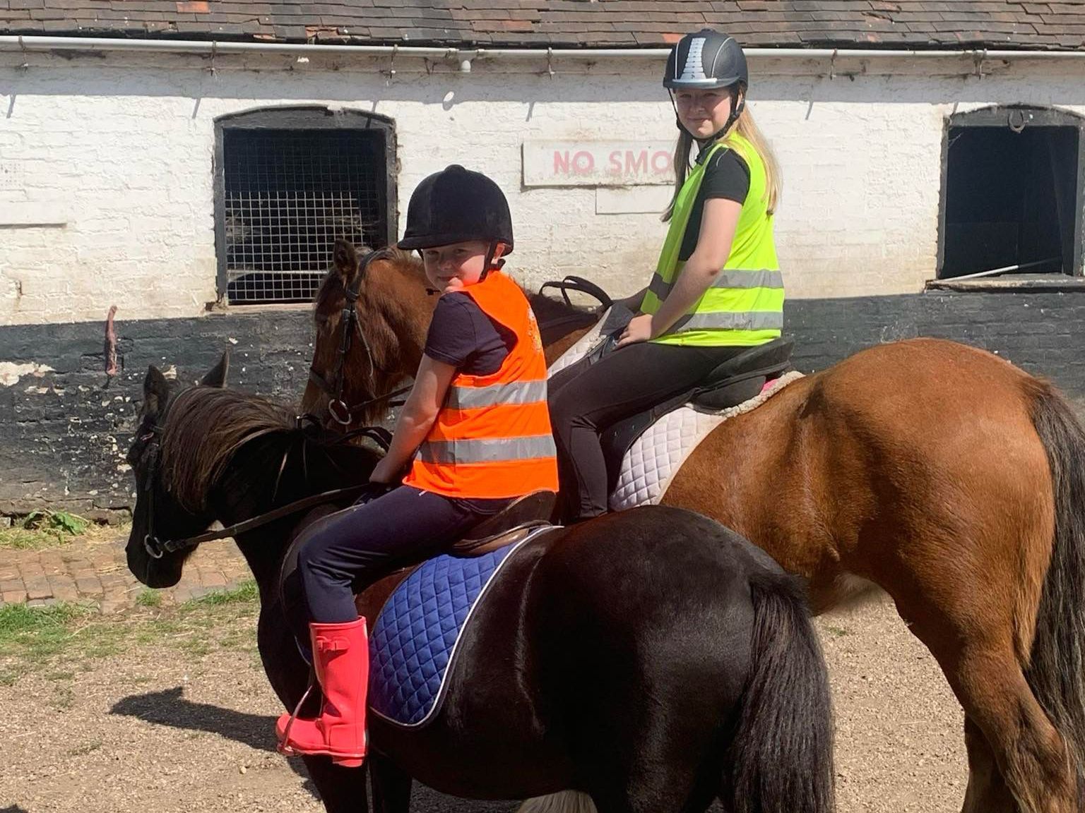 Horse riding classes