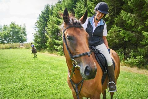 Group horse riding lessons