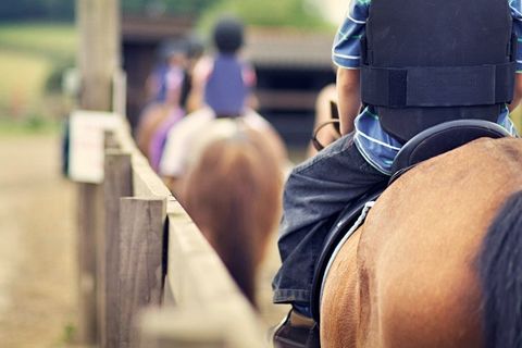 Horse riding classes
