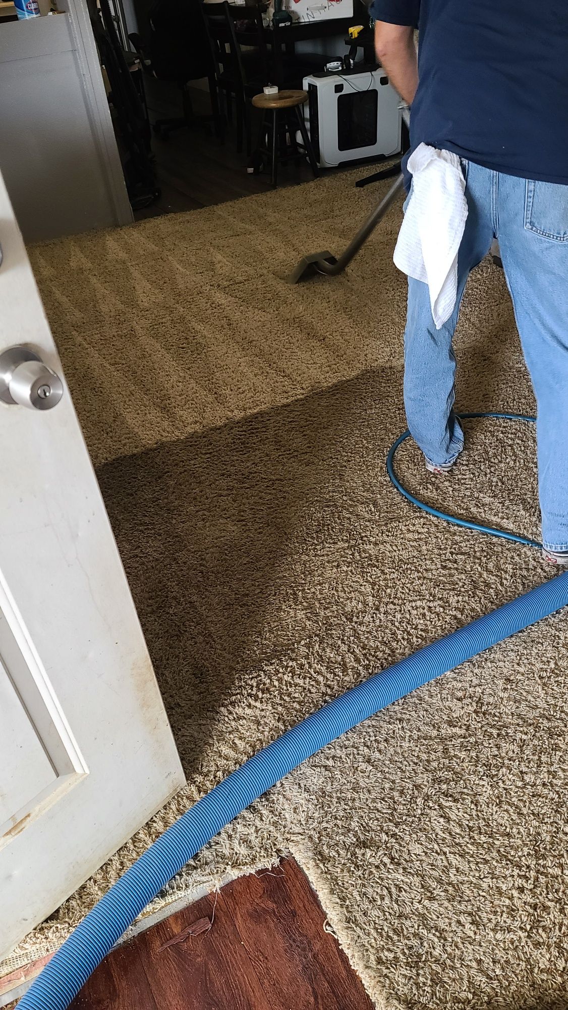 A person is cleaning a carpet with a vacuum cleaner.