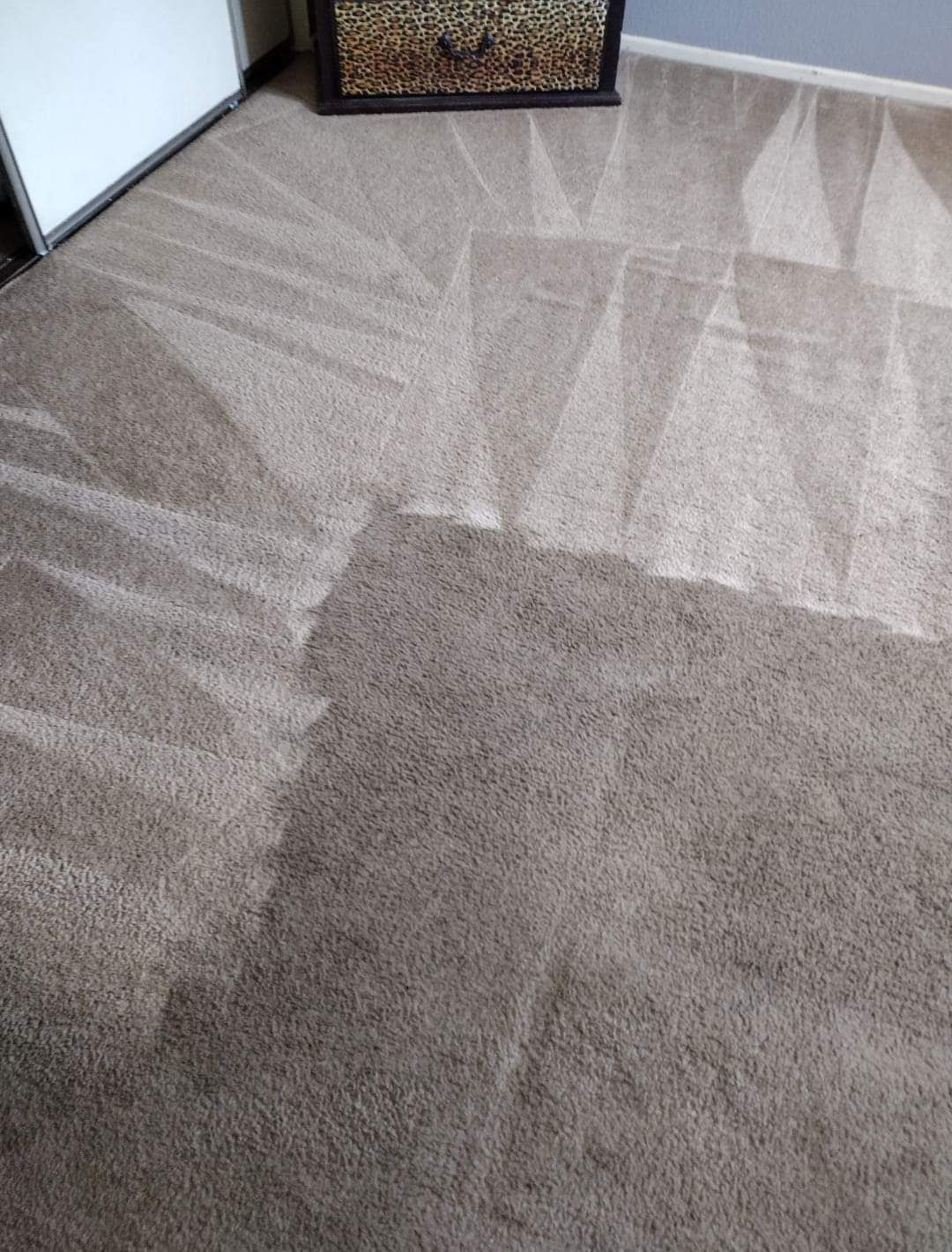 A bedroom with a carpeted floor and a nightstand.