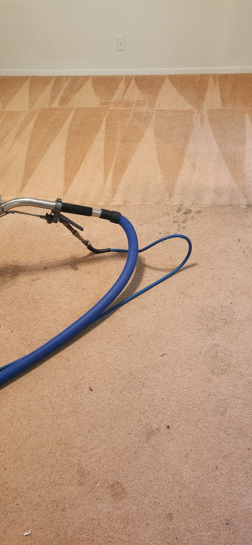 Carpet being cleaned with a blue hose, showing the cleaner's work.