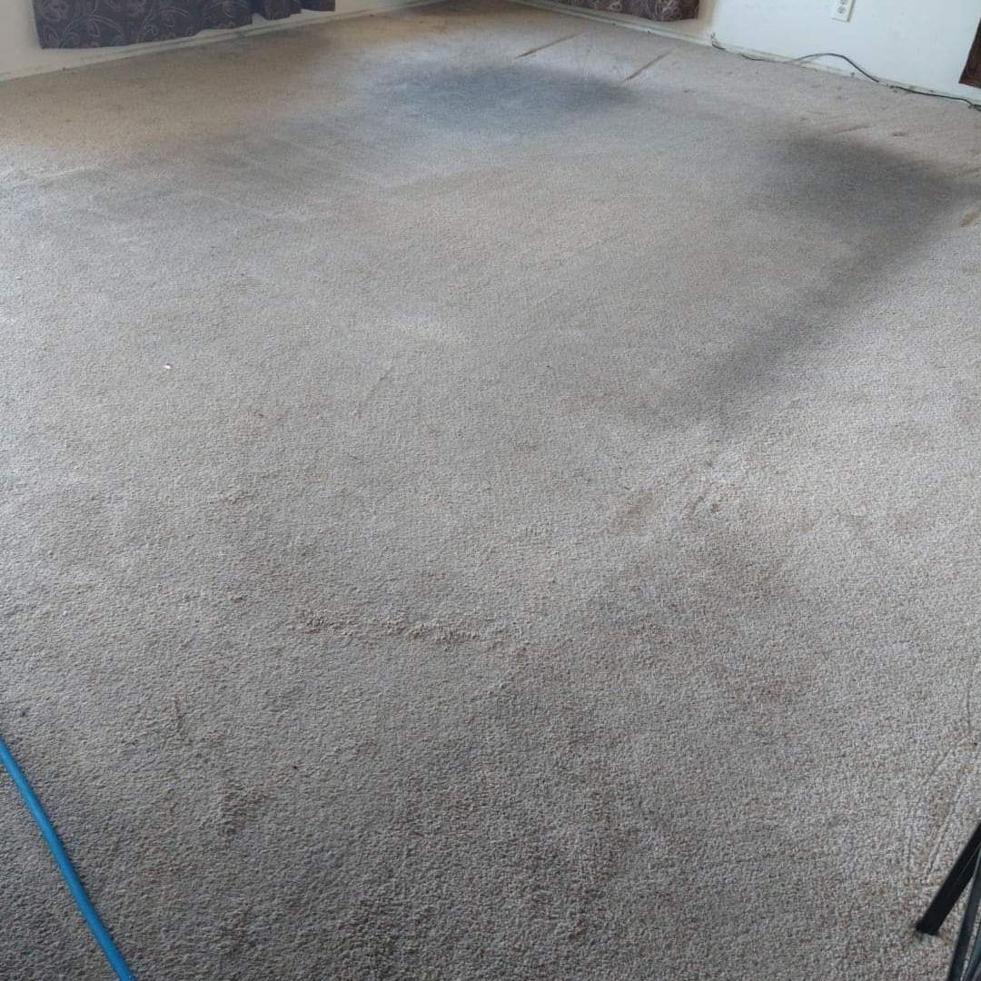 A large carpeted floor in a living room with a blue hose.