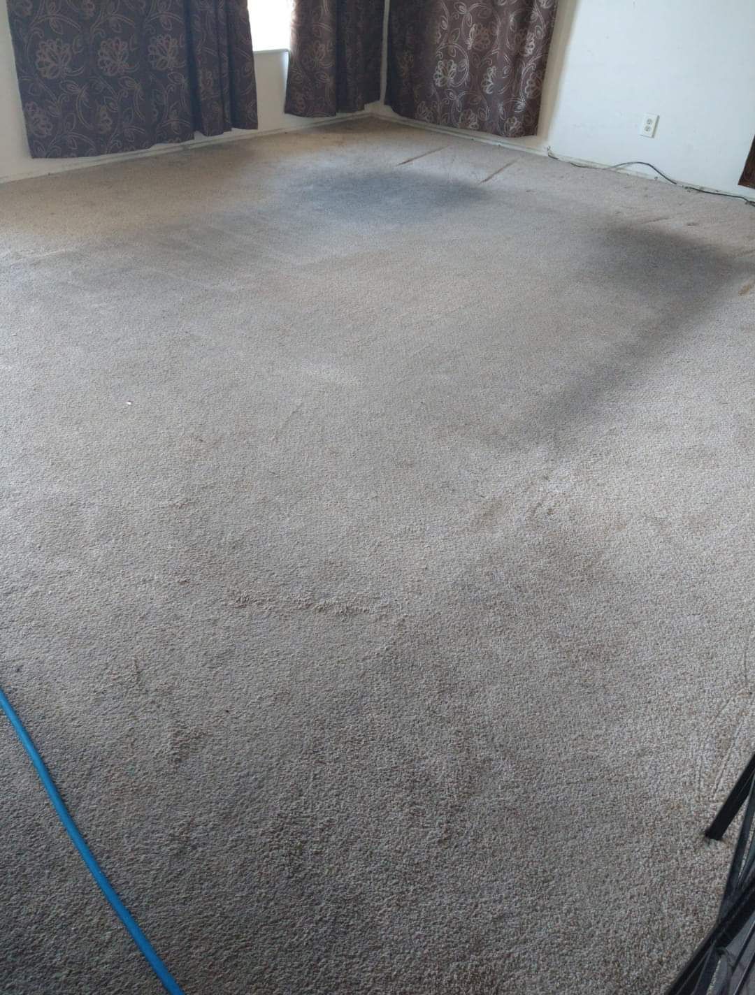 A living room with a carpeted floor and curtains.