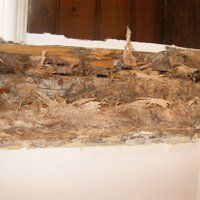 Destruction caused by dry rot Destruction caused by dry rot