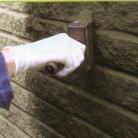 Dry rot - Swindon, Wiltshire - Damprot Renovations Ltd - Basement