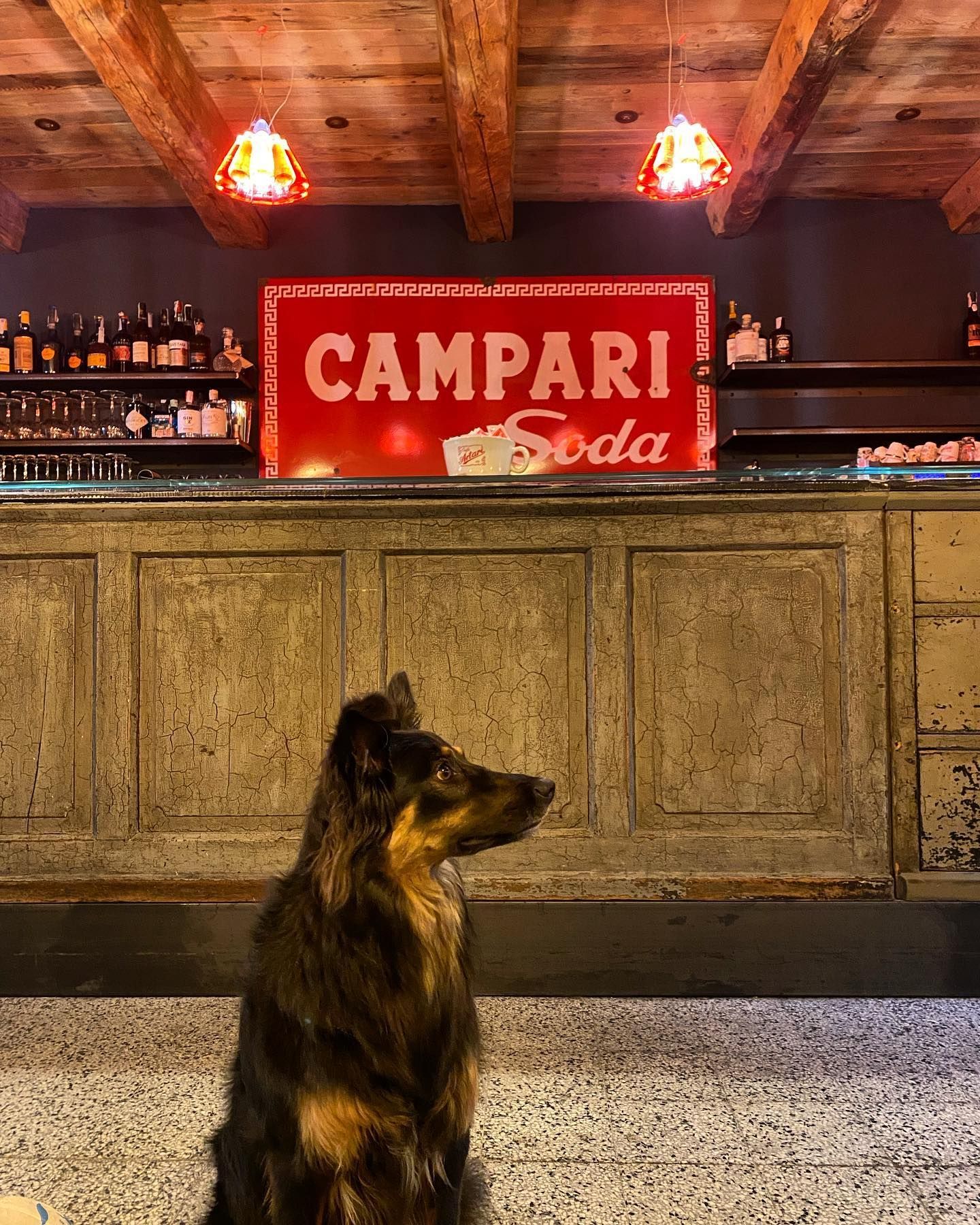 L'Oresteria - Bancone