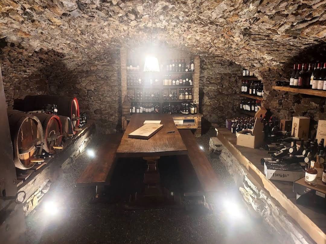 Cantina vini
