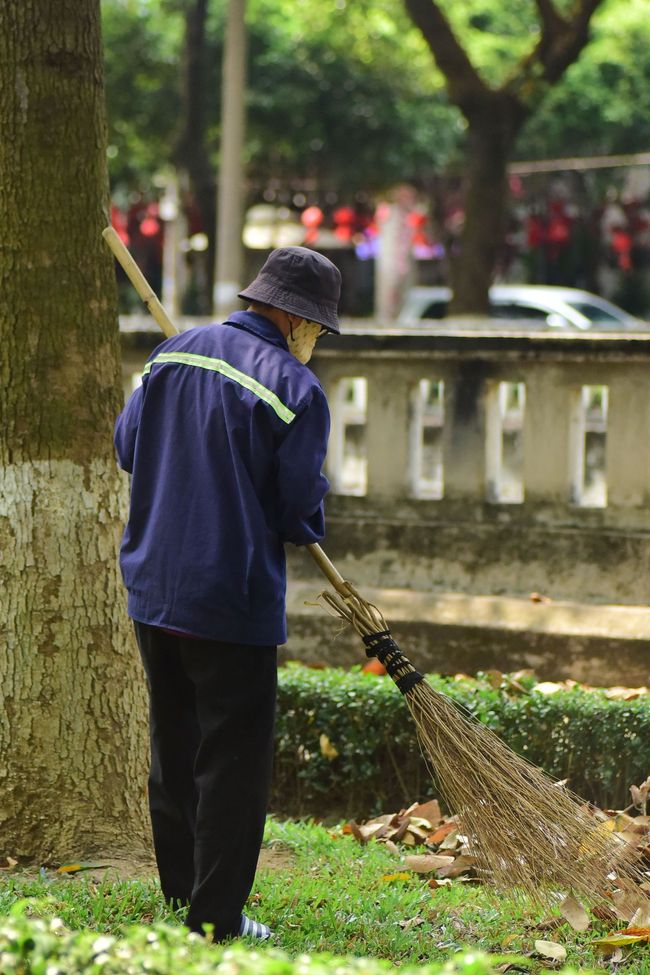 Worker in blue jacket sweeping leaves with a broom beside a tree in a park.