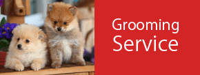 Pet Grooming Service in Baltimore MD