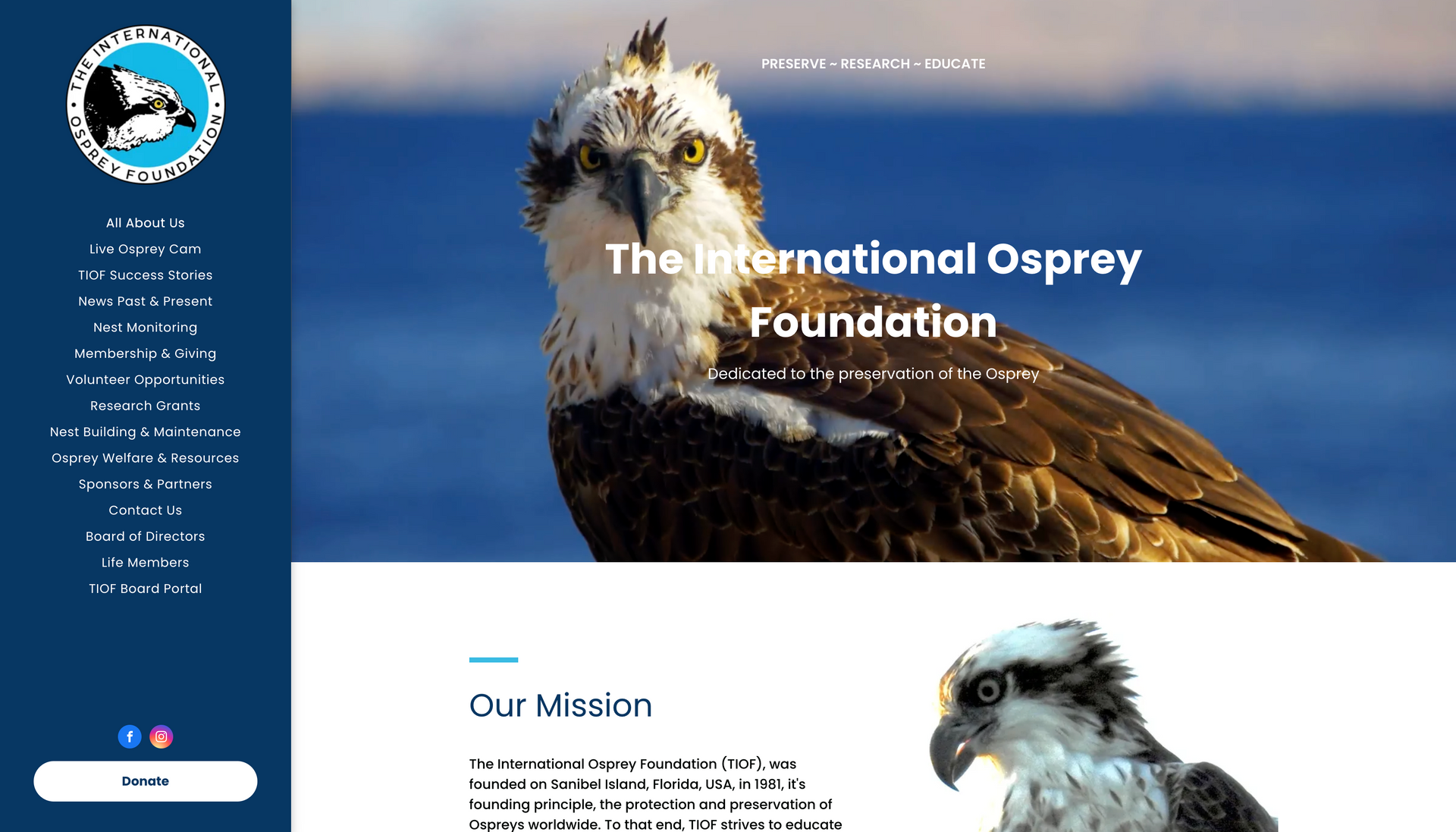 A website for the international osprey foundation with a picture of an osprey on the homepage.