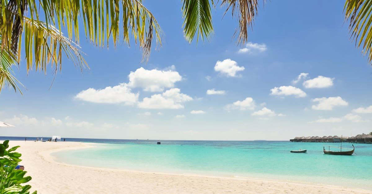 A tropical beach with palm trees and boats in the water.