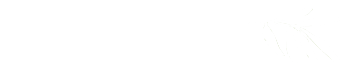 The Olive Branch Community Church logo