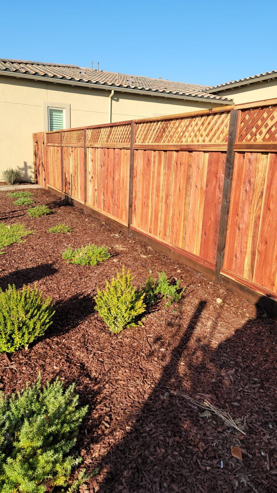 Wooden fence in a garden with mulch and green shrubs against a beige house under a blue sky.