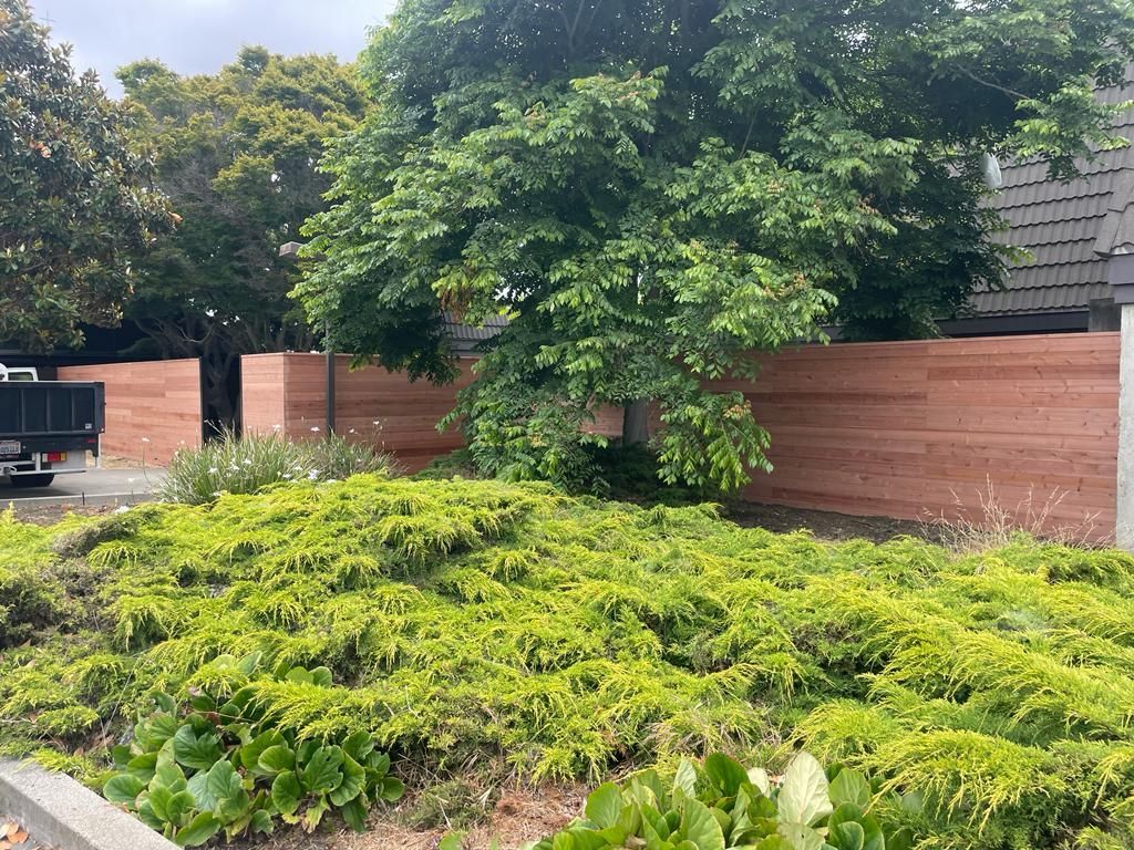 Green shrubbery and tree in front of a red-toned wooden fence.