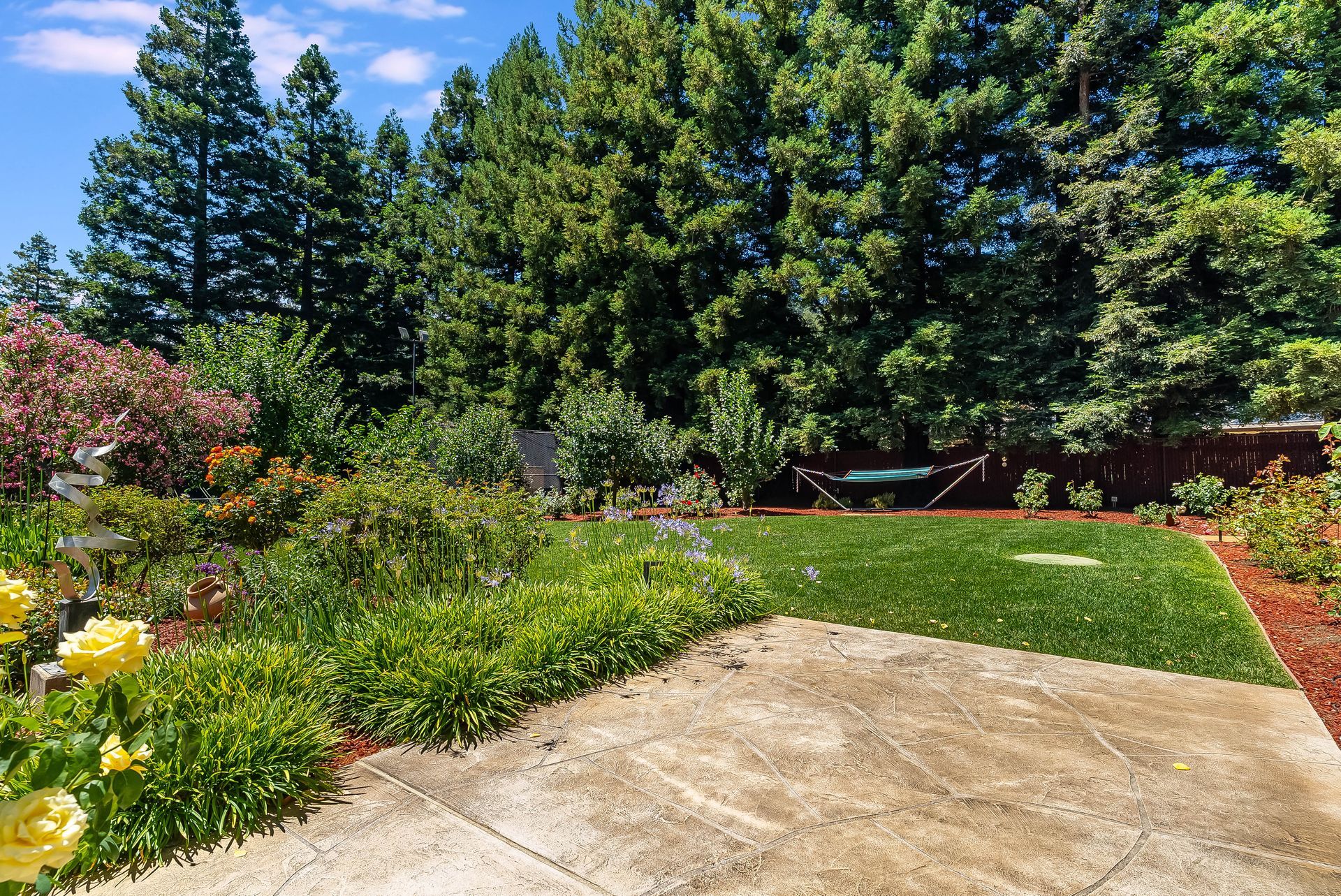 Sunny backyard patio with concrete slab, green lawn, shrubs, and tall evergreen trees
