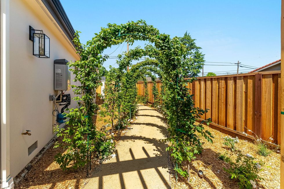 Backyard garden arch covered in green vines beside a house and wooden fence under bright sun