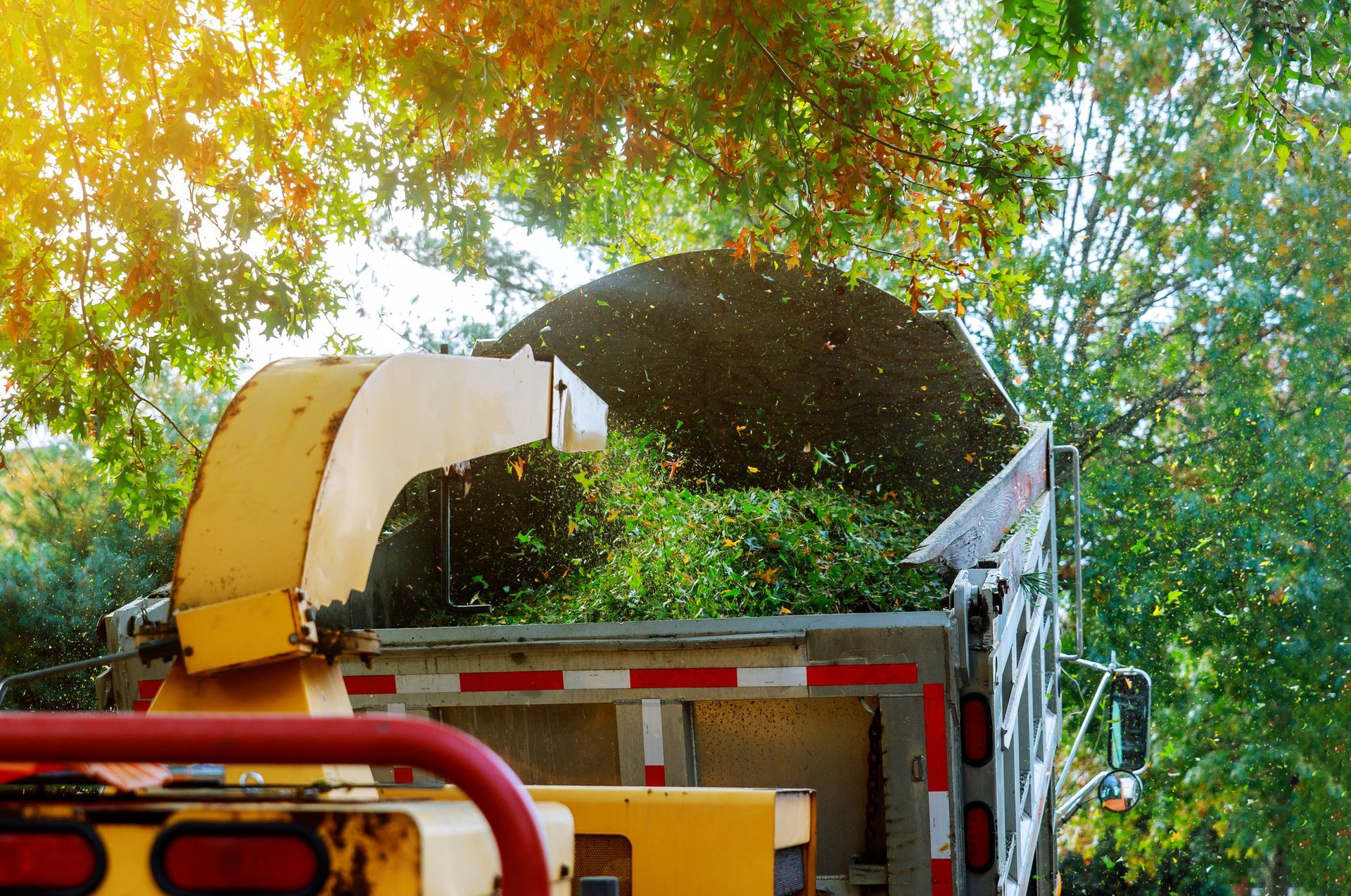 Forestry Mulching in Brooksville, FL