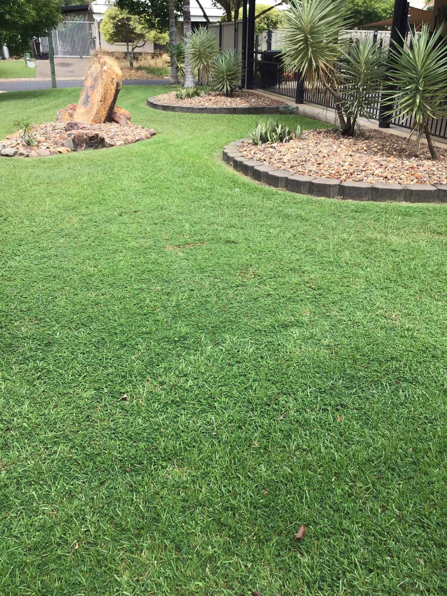 Garden Maintenance 15 – Garden Maintenance in Darwin River, NT